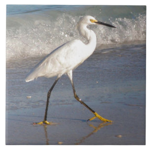 White Egret Tile