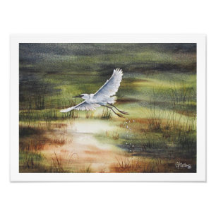 White Egret Watercolor Photo Print