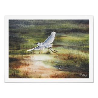 White Egret Watercolor Photo Print