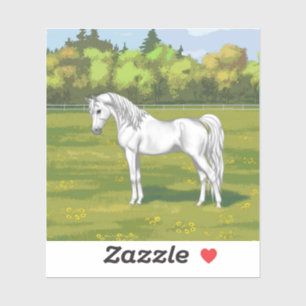 White Egyptian Arabian Horse in Summer Pasture