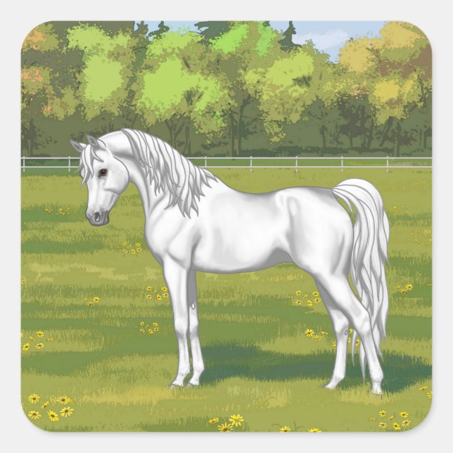 White Egyptian Arabian Horse in Summer Pasture Square Sticker (Front)