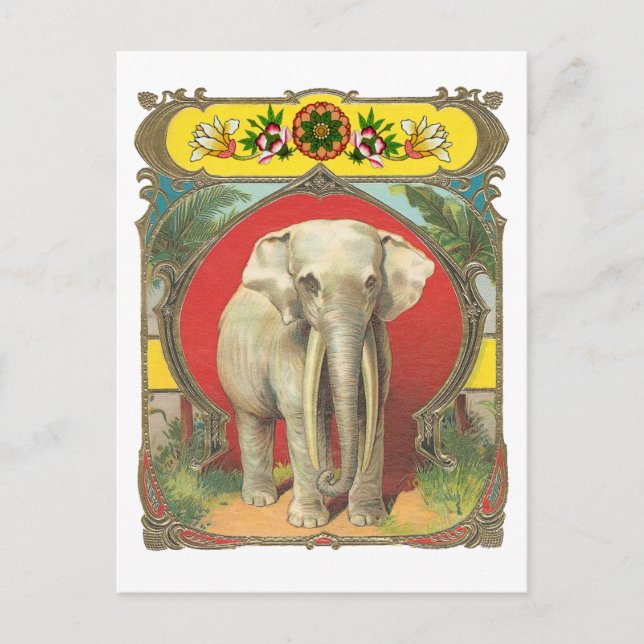 White Elephant Postcard (Front)