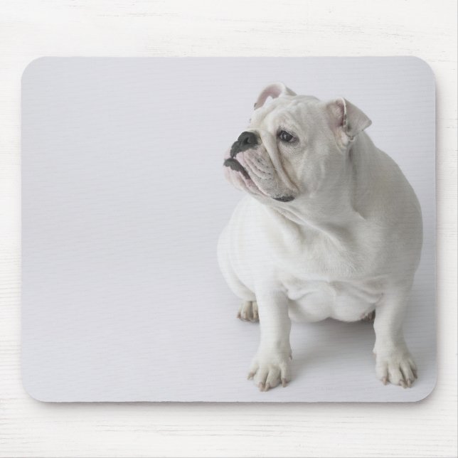 White English Bulldog Mouse Pad (Front)