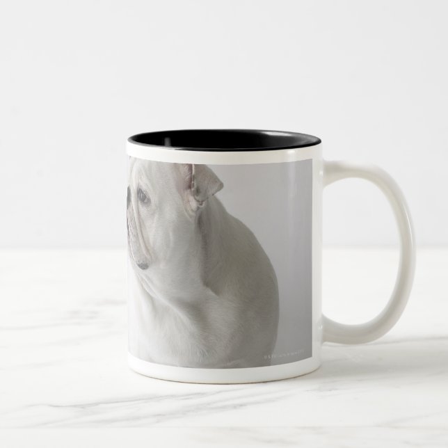 White English Bulldog Two-Tone Coffee Mug (Right)