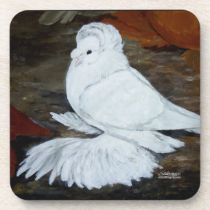 White English Trumpeter Pigeon Coaster