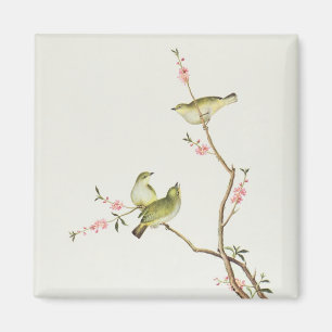 White-Eye bird, Ch'ien-lung period Magnet