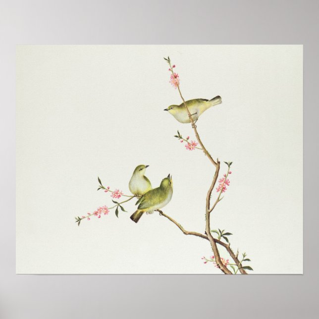 White-Eye bird, Ch'ien-lung period Poster (Front)