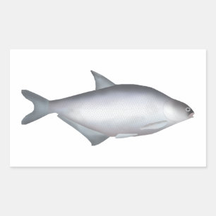 White-eye Bream Rectangular Sticker