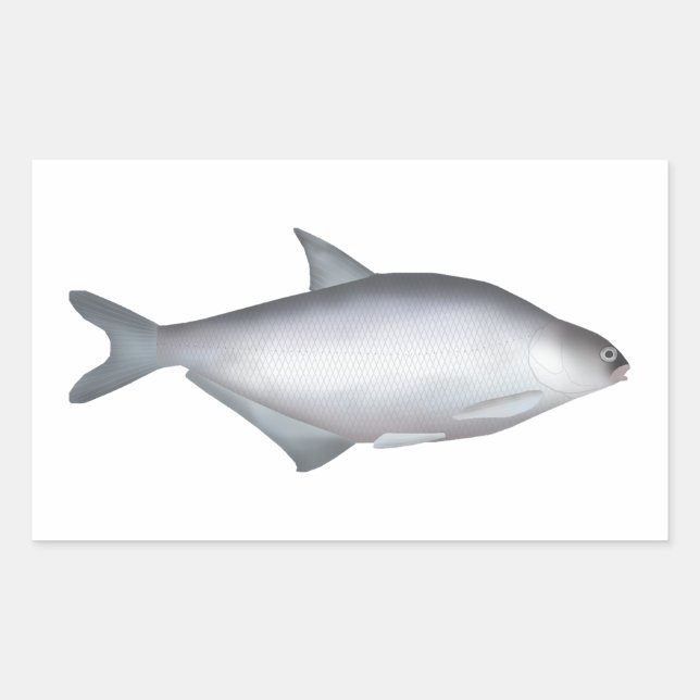 White-eye Bream Rectangular Sticker (Front)