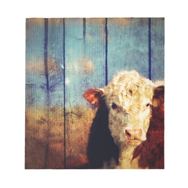 white face cow notepad (Front)