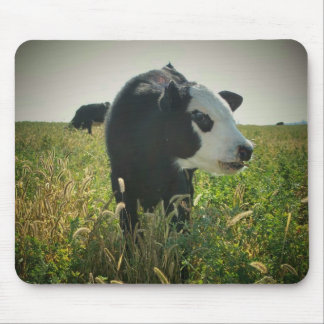 White Face in Pasture Mouse Pad