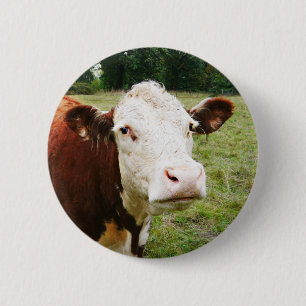 White Faced Beef Cow 6 Cm Round Badge