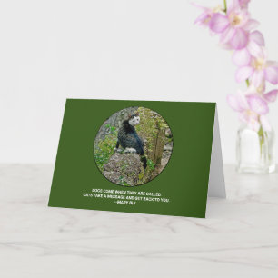 WHITE-FACED BLACK CAT/CAT QUOTE/FOR FELINE LOVERS CARD