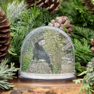 White -faced  black kitty snowglobe