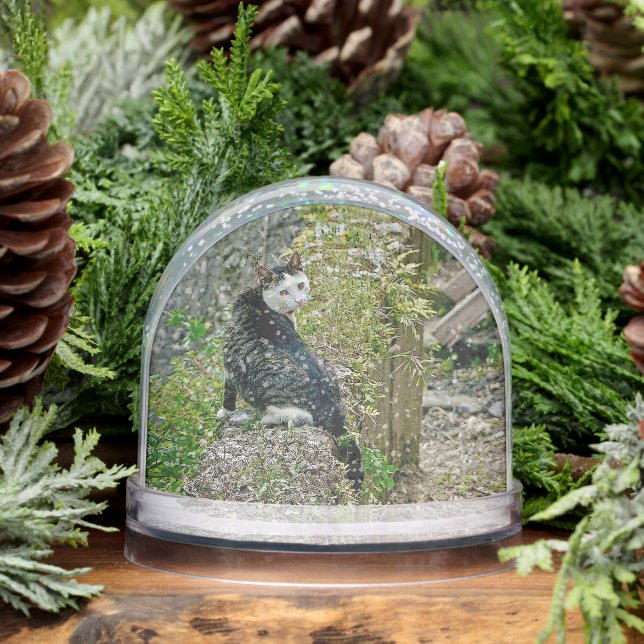 White -faced  black kitty snowglobe (Winter)