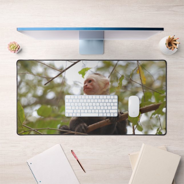 White Faced Capuchin, Exotic Monkey Photography Desk Mat (Office 1)