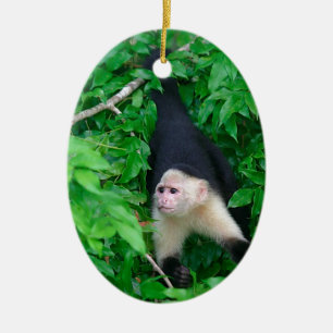 White faced capuchin monkey ceramic ornament
