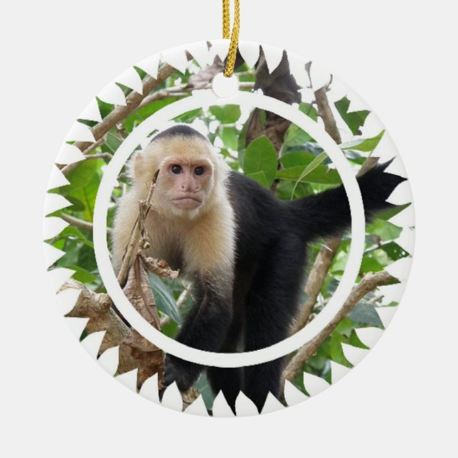 White Faced Capuchin Monkey Ornament (Front)