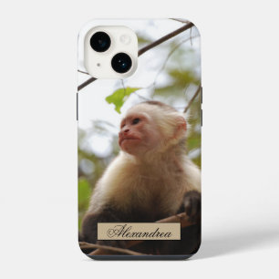 White Faced Capuchin Monkey Photography iPhone 14 Case