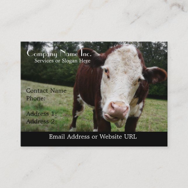 White Faced Cow Sticking Out Tongue Business Card (Front)