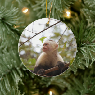 White Faced Monkey, Looking Through Branches Ceramic Ornament