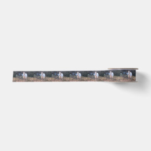 White Farm Horse Satin Ribbon