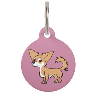 White & Fawn Chihuahua with Long Hair Pet Tag
