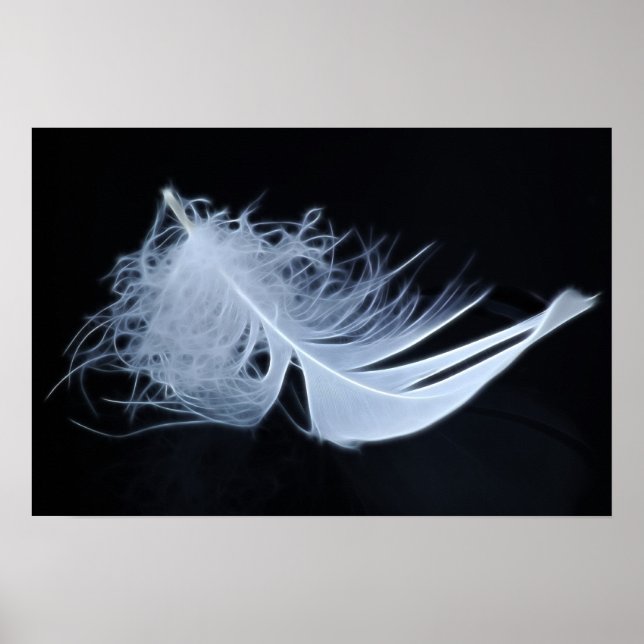 White feather - angelic by nature poster (Front)
