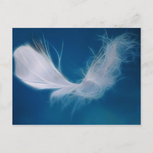 White feather art - symbol of purity and innocence postcard