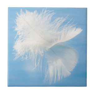 White Feather Reflects on Water Seabeck, WA Tile