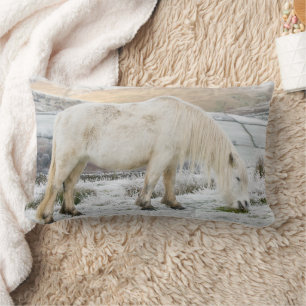White Fell Pony on Moorland in Winter Lumbar Cushion