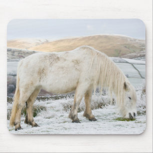 White Fell Pony on Moorland in Winter Mouse Pad