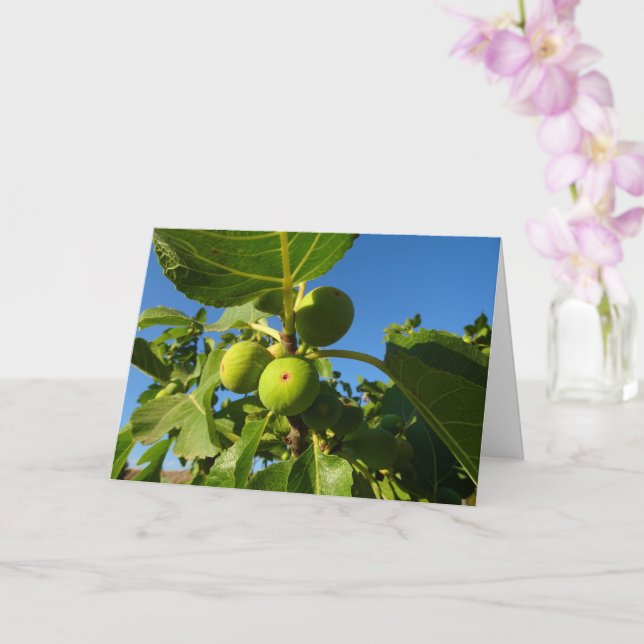 White Figs on Tree Card (Orchid)