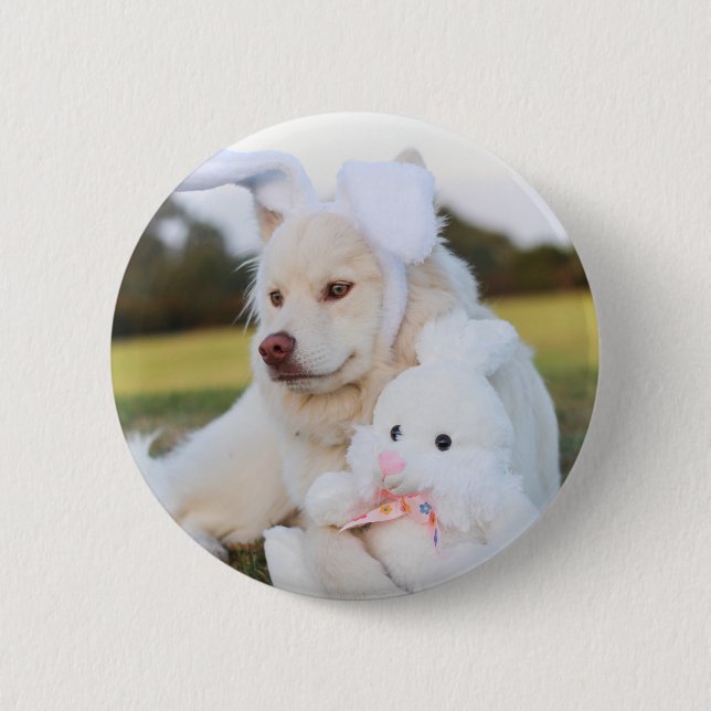 White Finnish Lapphund Puppy Cute 6 Cm Round Badge (Front)