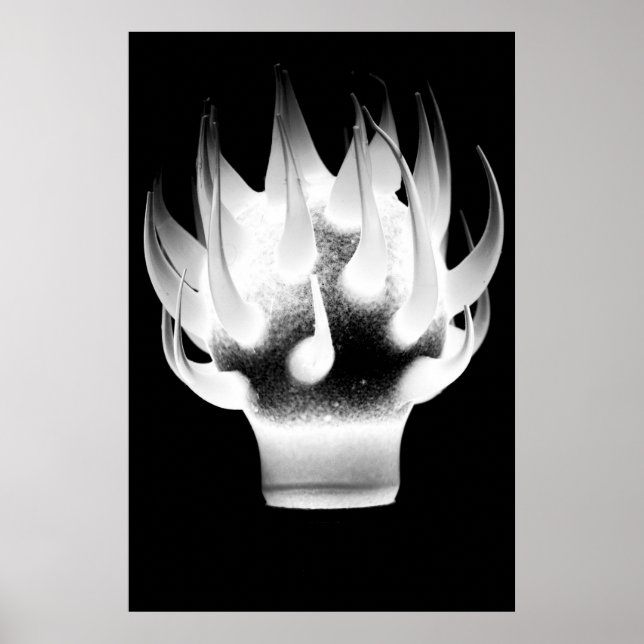 White Flame Poster (Front)