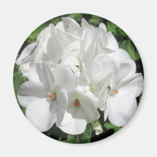 White Floral Photography Magnet