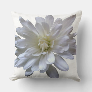 White floral white daisy white mum white flower cushion