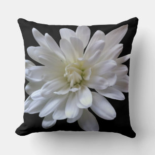 White floral white daisy white mum white flower cushion