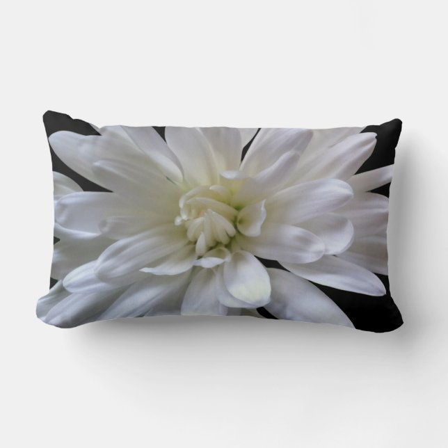 White floral white daisy white mum white flower lumbar cushion (Front)