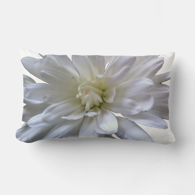 White floral white daisy white mum white flower lumbar cushion (Front)