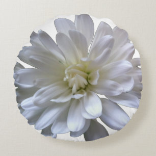 White floral white daisy white mum white flower round cushion