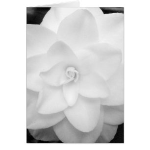White Flower. (Black and White) - Customised