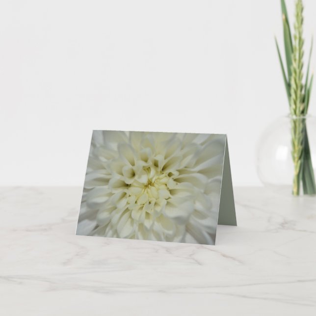 White Flower Blank Card (Front)