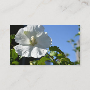 White Flower Blue Sky Garden Nature Floral Photo Business Card