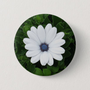 White Flower button