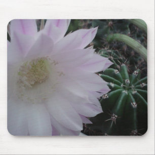 White Flower Cactus Mouse Pad