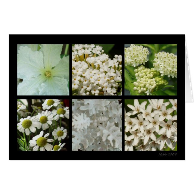 White Flower Card (Front Horizontal)