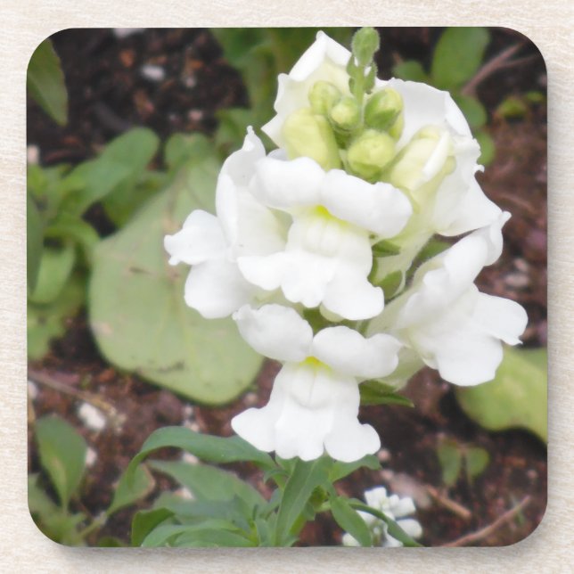 White Flower Coaster (Front)