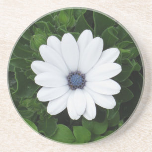 White Flower coaster