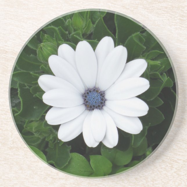 White Flower coaster (Front)